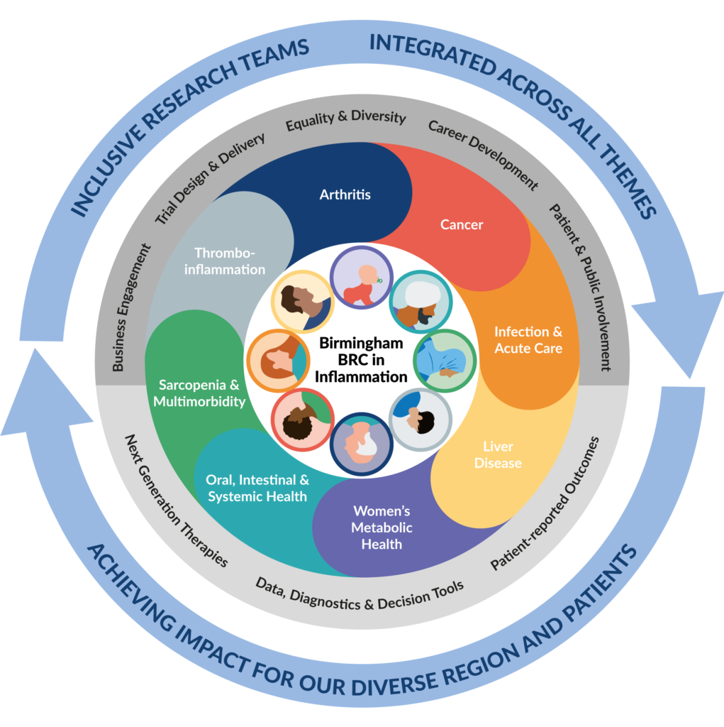 Diagram featuring all the 11 Birmingham BRC research themes in a circle surrounding a diagram of eight heads of people of different genders, ages, and ethnicities.