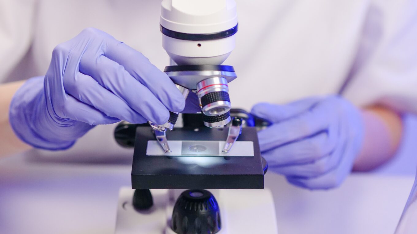Person examining a microscope slide