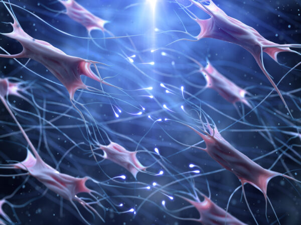 3d image of fibroblast cells