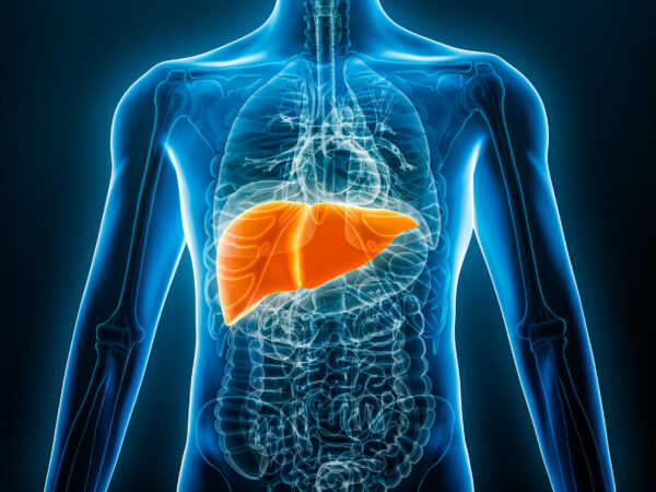 Xray image of human body with liver highlighted in red