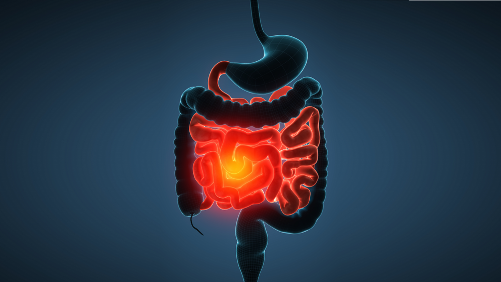 Thumb_IBD stomach and intestine