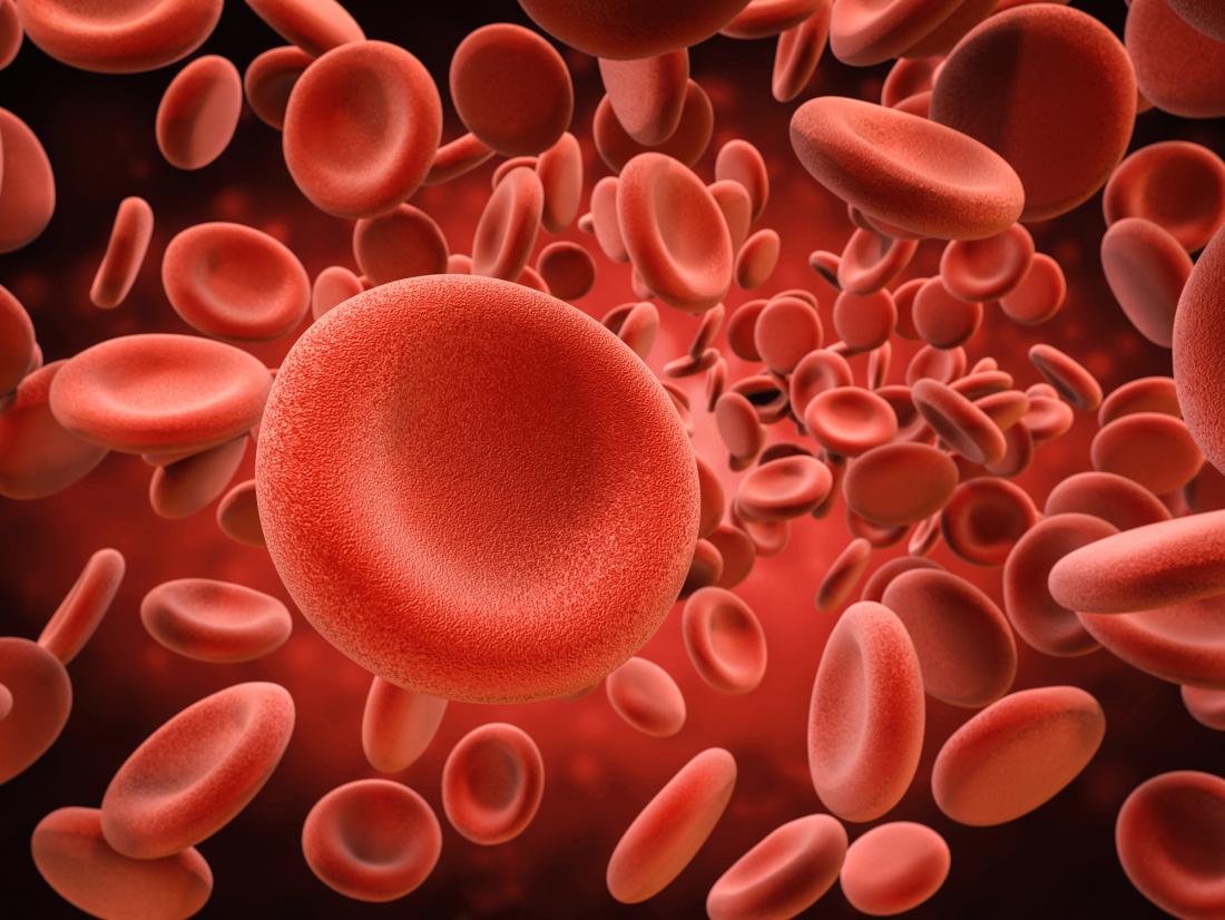 red blood cells